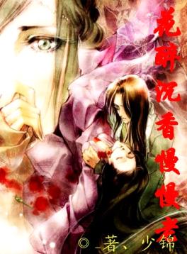 花醉沉香慢慢老TXT全集封面