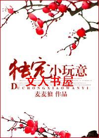 ����С����TXTȫ������