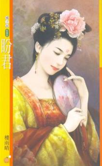 盼君TXT全集封面