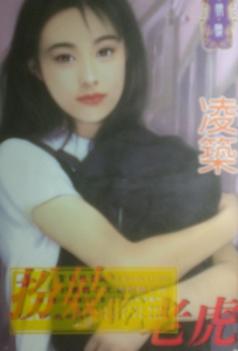 扮妓吃老虎TXT全集封面