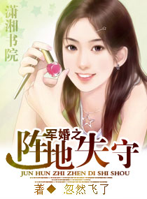 军婚之阵地失守TXT全集封面