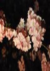 ҹӣTXTȫ������