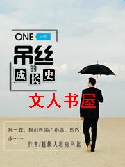 һ����˿�ĳɳ�ʷTXTȫ������