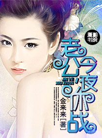 �Ϲ�,��ҹ��ս