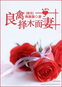 良禽择木而妻(师生)TXT全集封面