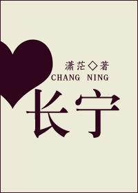长宁TXT全集封面