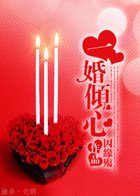 一婚倾心TXT全集封面