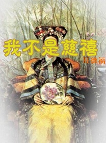 我不是慈禧TXT全集封面