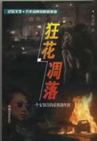 �񻨵���TXTȫ������