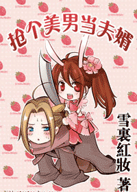 抢个美男当夫婿TXT全集封面