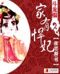 斗龙榻:家有悍妃TXT全集封面