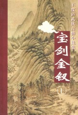 宝剑金钗TXT全集封面