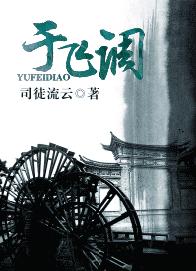 于飞调TXT全集封面