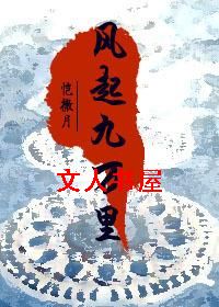 风起九万里TXT全集封面