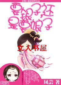 要银子,还是要娘子TXT全集封面