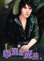 华丽的魔男上TXT全集封面