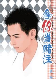 拿你当赌注TXT全集封面