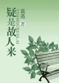 疑是故人来TXT全集封面