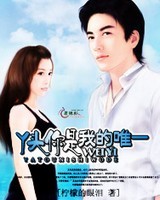 丫头你是我的唯一TXT全集封面