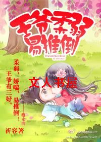 ��ү�������Ƶ�TXTȫ������