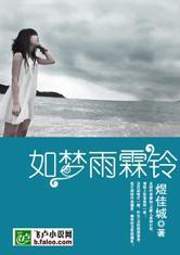 如梦雨霖铃TXT全集封面