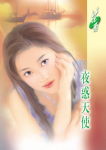夜惑天使TXT全集封面