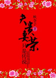 夫贵妻荣只是传说TXT全集封面