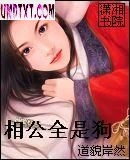 相公全是狗TXT全集封面