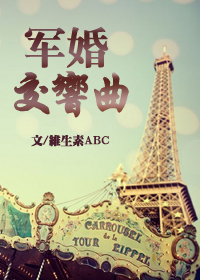 军婚交响曲TXT全集封面