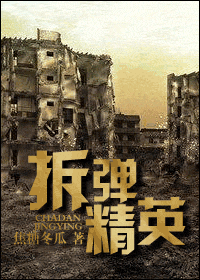 拆弹精英TXT全集封面