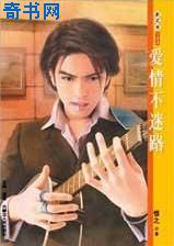 爱情不迷路TXT全集封面