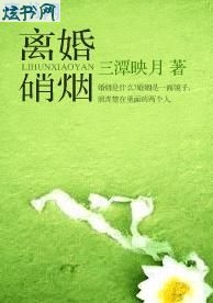 离婚硝烟TXT全集封面