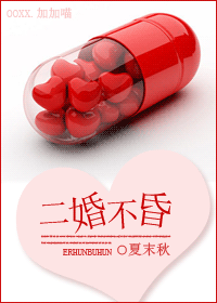 二婚不昏(婚恋)TXT全集封面
