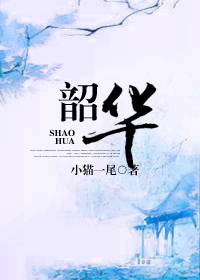 韶华TXT全集封面