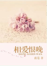 相爱恨晚TXT全集封面