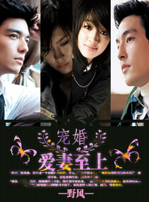 宠婚:爱妻至上TXT全集封面