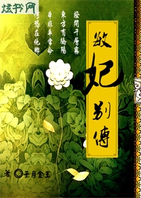 敏妃别传之古镯清缘TXT全集封面