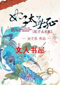 妃子太无耻TXT全集封面