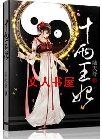 ʮ������