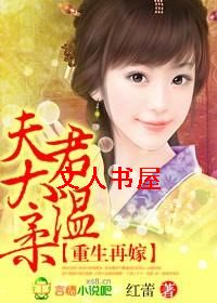 重生再嫁,夫君太温柔TXT全集封面