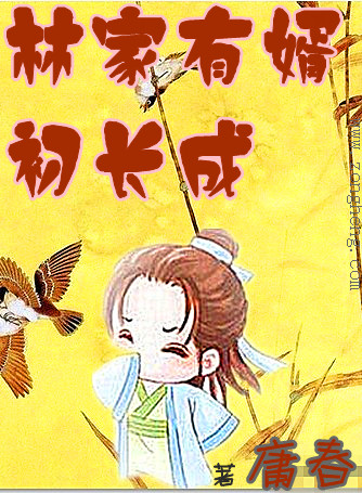 �ּ�����������