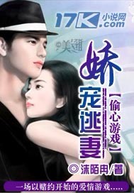 ͵����Ϸ:��������TXTȫ������