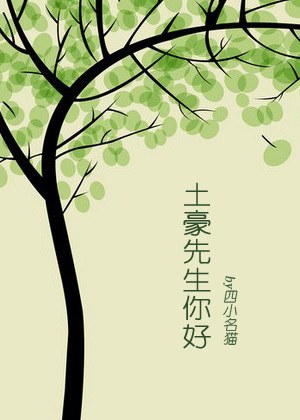 土豪先生你好TXT全集封面