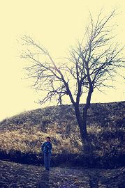 �ص�����ȥ�ֵ�