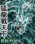 猛龙战天下TXT全集封面