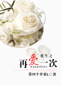 重生之再爱一次(军婚)TXT全集封面