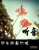 听音,河岸的最初端TXT全集封面