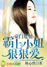 豪门危情,霸上小妞狠狠爱TXT全集封面