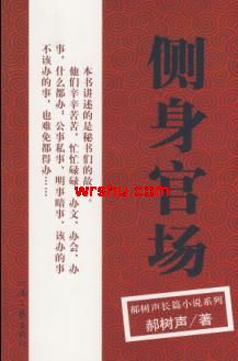 侧身官场TXT全集封面