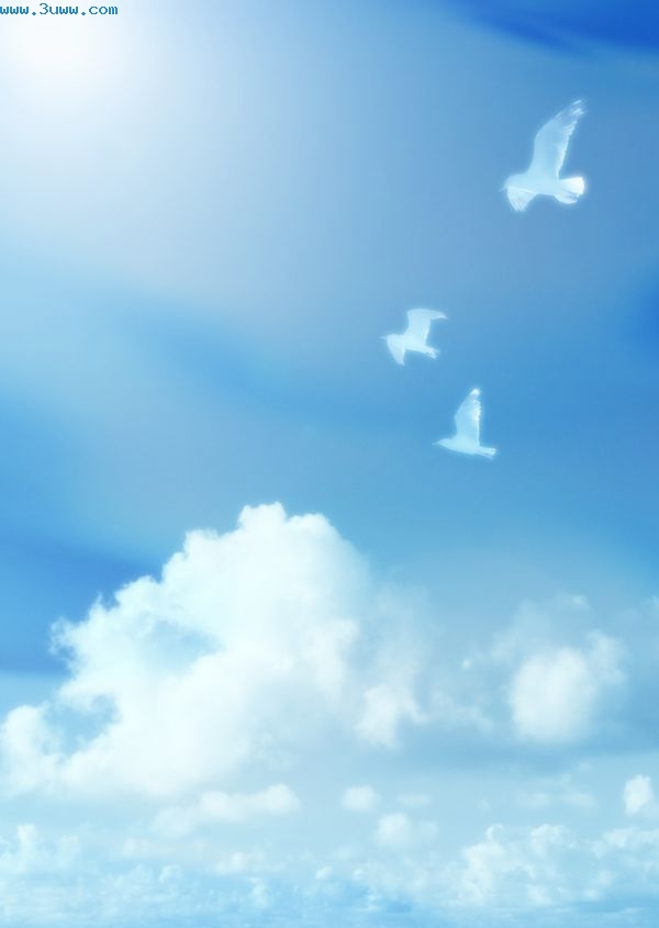 �����TXTȫ������